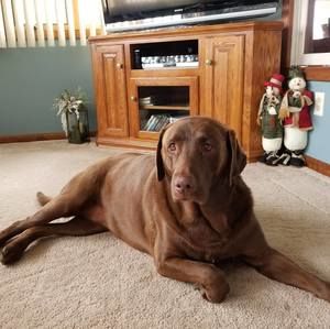 Meet your Posher, Becky